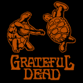 Grateful Dead Turtles 01