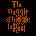 Muggle Struggle