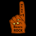 Chicago Bears 08