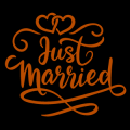 Just Married Script