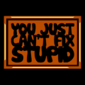 You Just Cant Fix Stupid