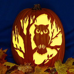Black Tree Owl CO - StoneyKins