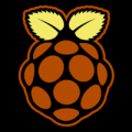 Raspberry Pi