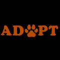 Adopt 01