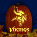 Minnesota Vikings 08 CO