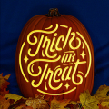 Trick or Treat Neon CO