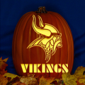 Minnesota Vikings 05 CO