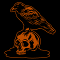Crow On Skull