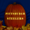 Pittsburgh Steelers 03 CO