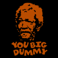 Fred Sanford You Big Dummy