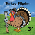 Turkey Pilgrim